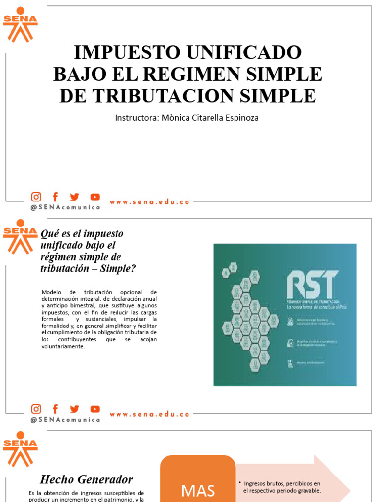 7. Reg Simple de Tributacion (2) | PDF