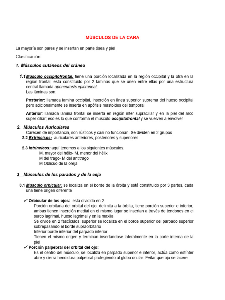 Musculos de la cara pdf anatom a humana sistema musculoesquel tico