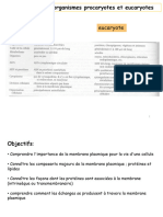 4 - 1 Membrane Plasmique