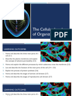 Ch3 CELL 