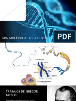 Adn Molecula de La Herencia