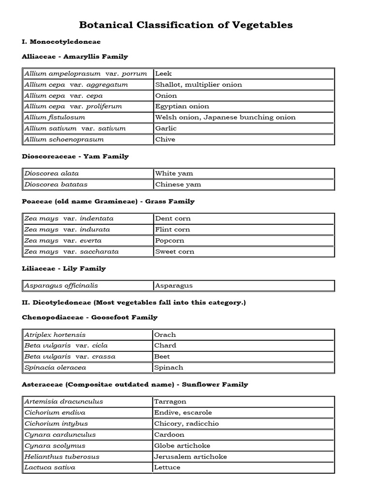 Botanical classification of vegetables download free pdf cucurbita
