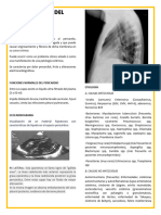 Enfermedades Del Pericardio Resumen