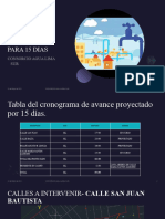 Cronograma de Avance Programado para 15 Dias