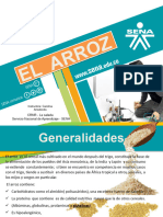 EXPOSICION ARROZ Final