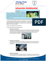 Ciencia y Tecnología - Contaminación Ambiental - 6to Grado - IV Bimestre - 2023