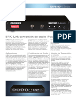 BRIC-Link Brochure (Spanish)