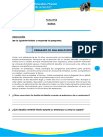 Ficha N61-Los Embarazos en Los Adolescentes