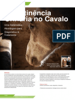 Urinary Incontinence in The Horse