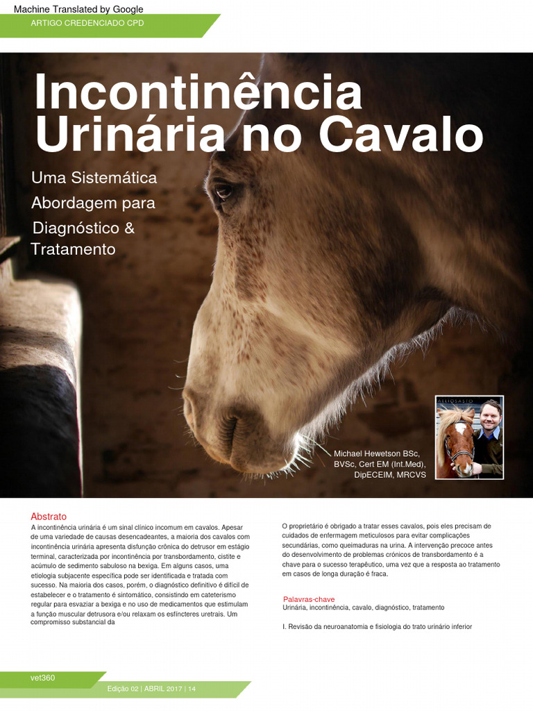 Urinary Incontinence in The Horse PDF