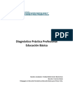 Diagnóstico Práctica Profesional Ed. Básica
