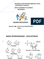 Acidos Nucleicos