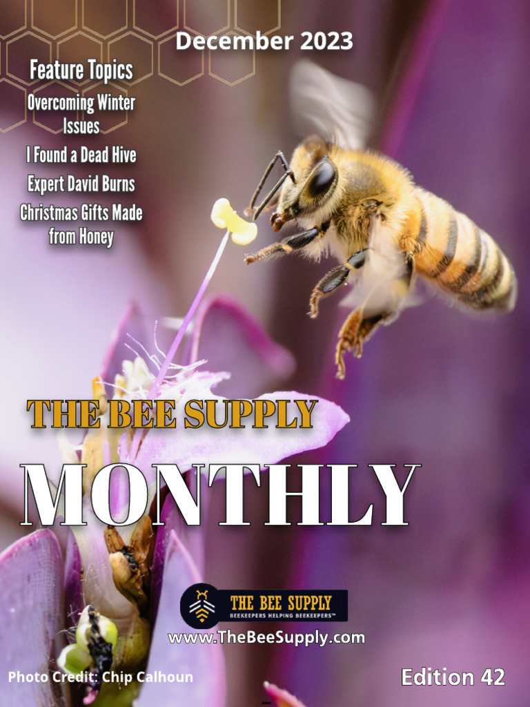 December Beekeeping Tips & Winter Hive Care | PDF | Honey Bee | Beehive