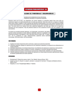 Semana 13 - Caso 10. Metabolismo de Porfirinas y Bilirrubinas