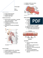 Musculoskeletal