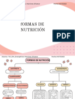 Formas de Nutrición