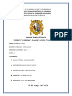 Informe - Pedregal-Tamboraque