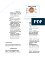 Anatomyphysiology Reviewer