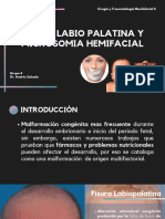 Seminario G4 - Fisura Labiopalatina y Hemiatrofia