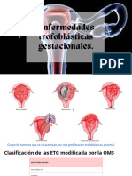 Anatomía Patológica II