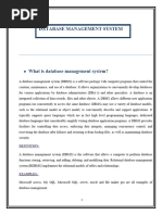 Term Paper On Database Management System