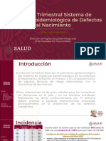 Informe Trimestral Enferledades Por No Consumo de Acido Folico