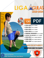 Liga Materiales Las Aguilas