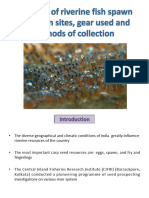 Fish Spawn Collection Lecture 1