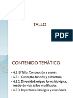 TALLO