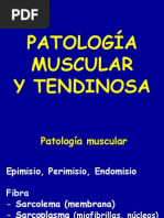 17 - patología musculos y tendones