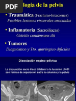 26 - patología de pelvis y cadera I