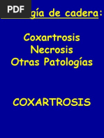 28 - patología de la cadera III