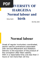 Normal Labour and Birth Uoh 2023