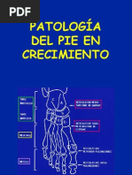 33 -  patología del pie I (niño)
