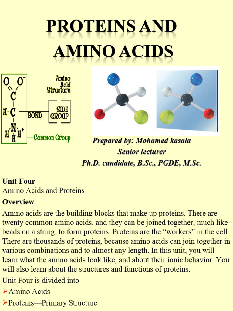 Lecture 3 Proteins and Amino Acids 1 | PDF | Amino Acid | Organic Compounds