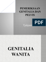 PF Genetalia-Pelvis