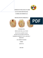 Universidad Central Del Ecuador Facultad de Odontología Cátedra de Endodoncia I