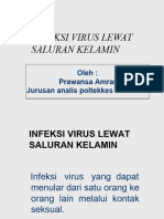 Virus-Pms - Sistim-2007