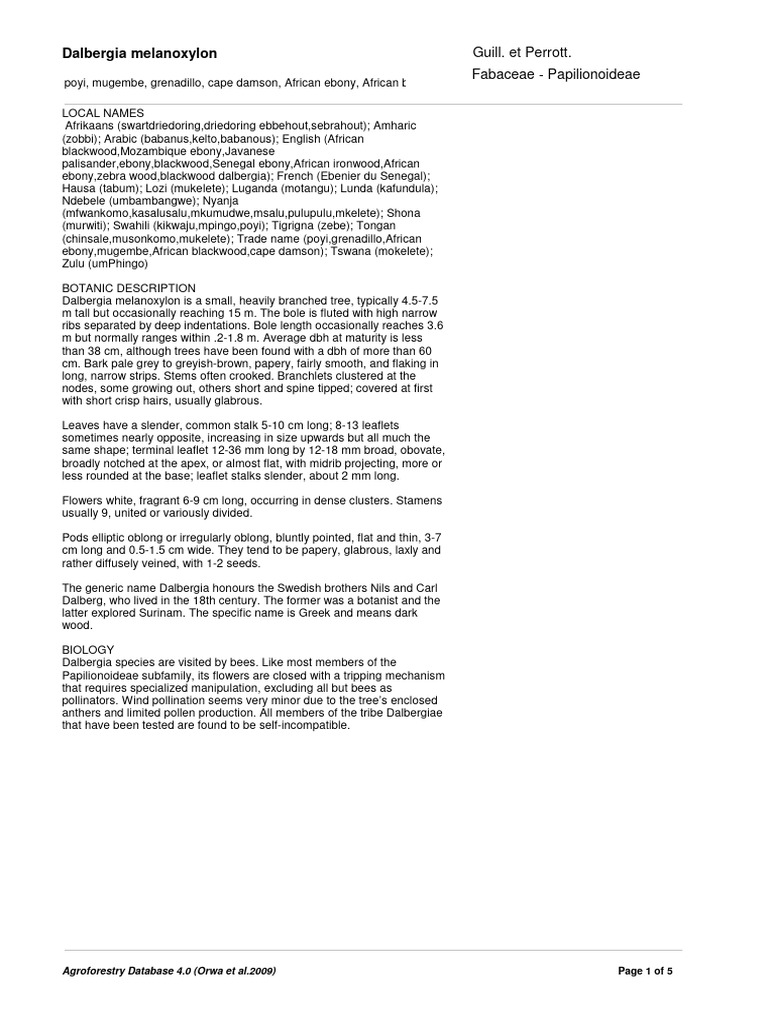 Dalbergia Melanoxylon PDF Wood Flowers