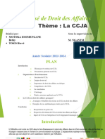 Ccja PPT-1