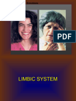 10 Limbic System - 084224