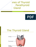Hormones of Thyroid and Parathyroid Gland