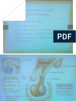 Histology of Pituitary Gland.