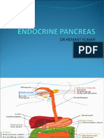 Endocrine Pancreas