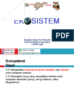 Eko Sistem