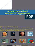 Arquitectura Animal Modelos de Organización