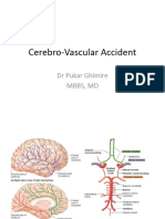 Cerebro-Vascular Accident: DR Pukar Ghimire MBBS, MD