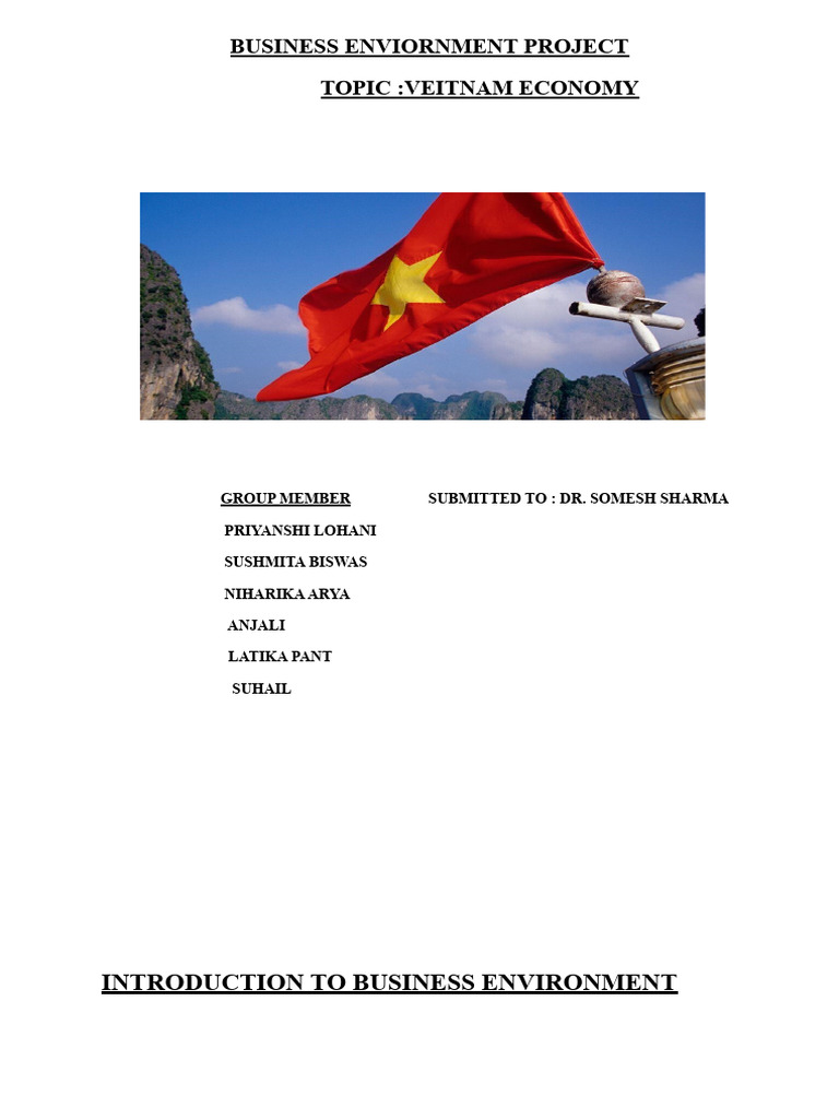 Economy of Veitnam PDF Cost Of Living Vietnam