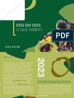 Esg em 2023 - Ebook PDF