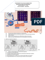 Ficha Trabalho Genética